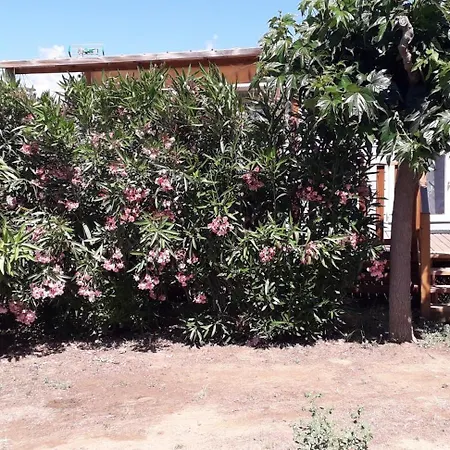 Κάμπινγκ Mobilhome *